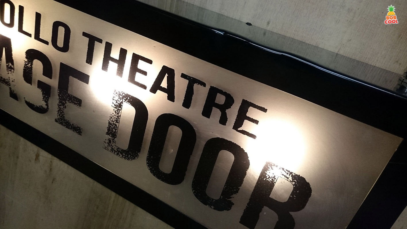 66cm x 23cm Vintage Glass Pane Lightbox